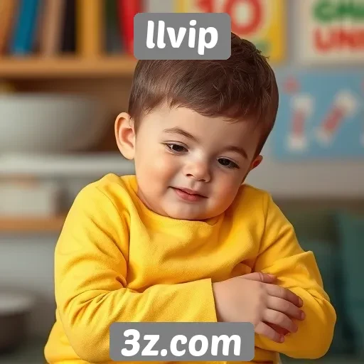 Acessibilidade e facilidade de uso no llvip